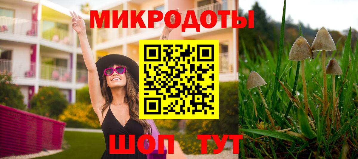 Тосно  Галлюциногенные грибы Cubensis  Галлюциногенные грибы GOLDEN TEACHER  Вход с VPN 